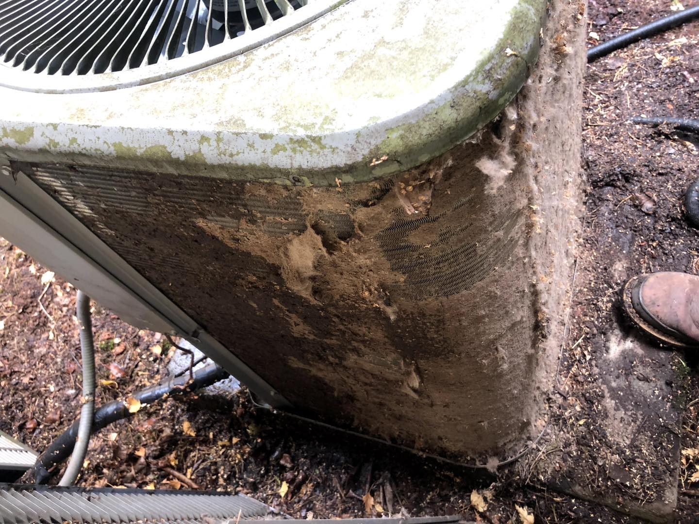 Dirty AC condenser coils requiring professional cleaning maintenance service Salem Oregon