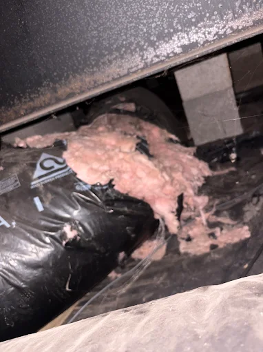 Severe Ductwork Damage - Salem Oregon Professional Assessment Required Severe ductwork damage Salem Oregon crawl space insulation failure professional assessment needed